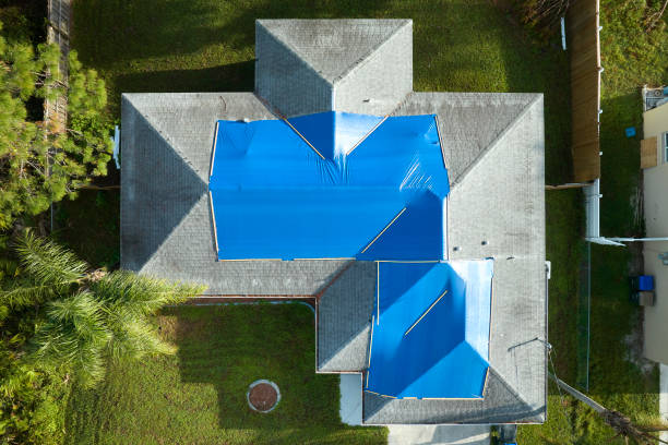 Best Roofing for New Construction  in Egon City, OR