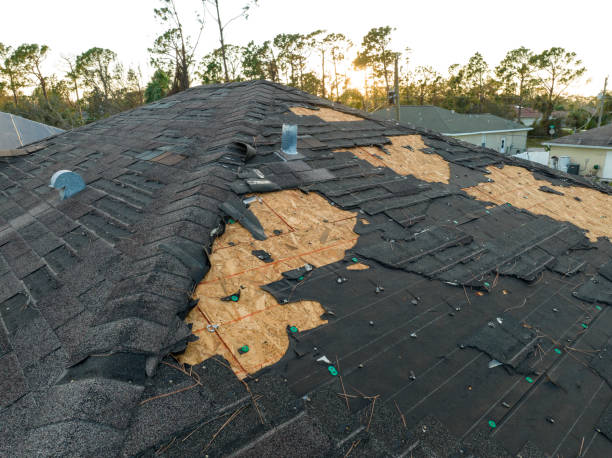 Best Roof Maintenance and Cleaning  in Egon City, OR